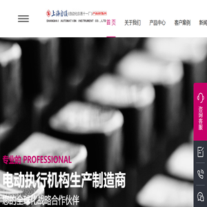 上海自动化仪表十一厂