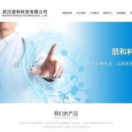 武汉朋和科技有限公司