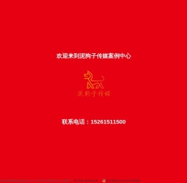 泥狗子网络科技有限公司