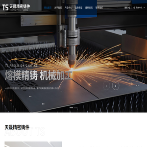 嘉善天晟精密铸件股份有限公司