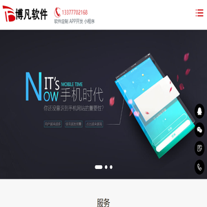 专业软件开发定制