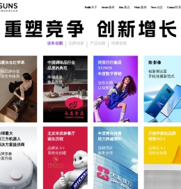 Fsuns峰尚专注初创品牌策划【500强企业