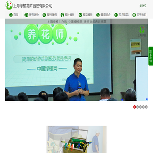 办公绿化找绿植