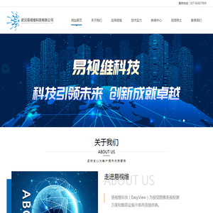 武汉易视维科技有限公司