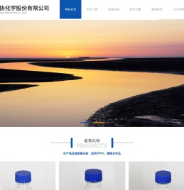 东营三协化学公司