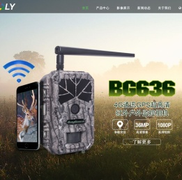 博立码杰中文官网