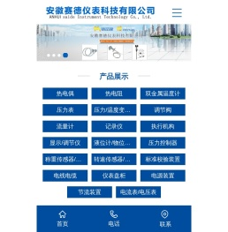 安徽赛德仪表科技有限公司