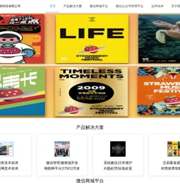 新疆新锋科技有限公司