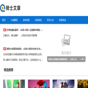 骑士文章网