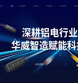 常州华威电子有限公司