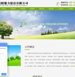 咸阳鼎力保洁有限公司