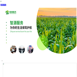 智源服务官网