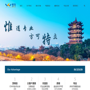 武汉惟特信息技术有限公司