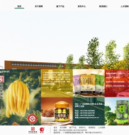 广东展翠食品股份有限公司