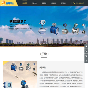 金湖博远自动化仪表有限公司