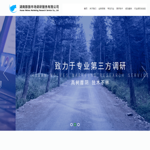 长沙市场问卷满意度调查