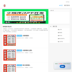 软件定制