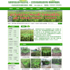 江苏苏州张家港法国冬青/珊瑚树种植基地