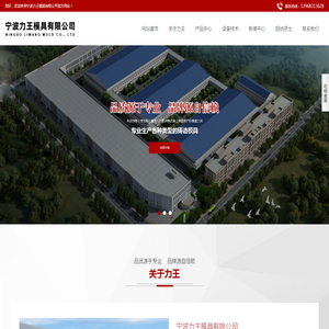 宁波力王模具有限公司