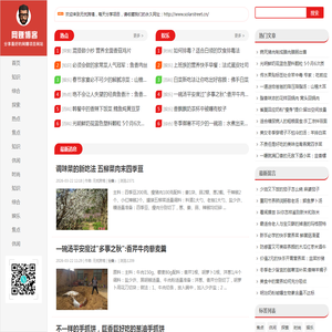 跨境电商企业服务