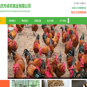 重庆市卓农禽业有限公司