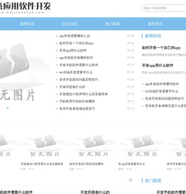 维意应用软件开发网