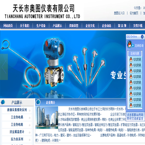 天长市奥图仪表有限公司