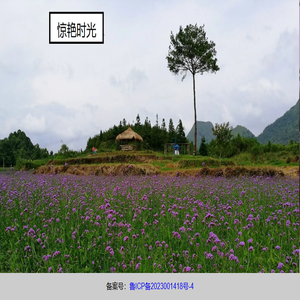 川图网