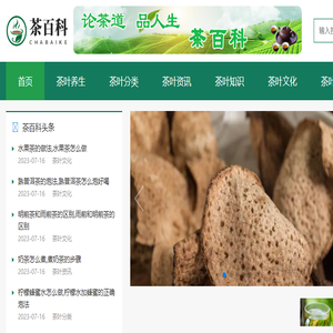 茶叶百科网