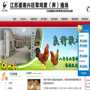 江苏乡月专业草鸡苗孵化厂