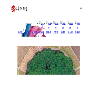 龙泉测名网
