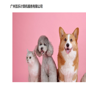 我爱猫狗