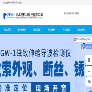 斜拉索检测