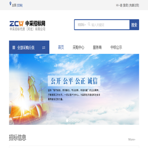 中采招标网
