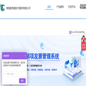 湖南数电票技术服务有限公司
