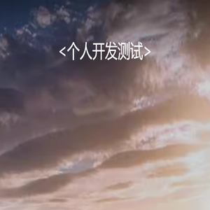 个人开发测试