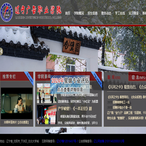辽宁广告职业学院
