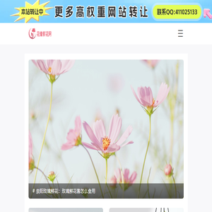 花缘鲜花网
