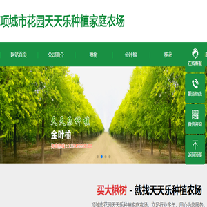项城市花园天天乐种植家庭农场,项城市花园天天乐种植家庭农场