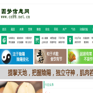 圆梦信息网