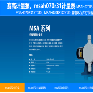 赛高MSAH070R31XD080计量泵
