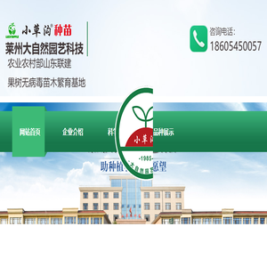 福星苹果苗