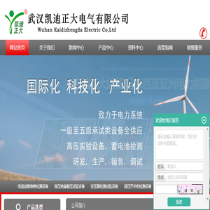 武汉凯迪正大电气有限公司