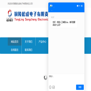 铜陵松成电子有限责任公司