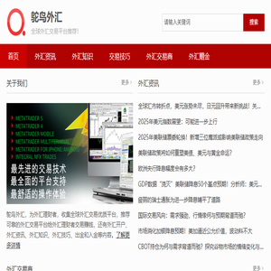 外汇交易平台排名