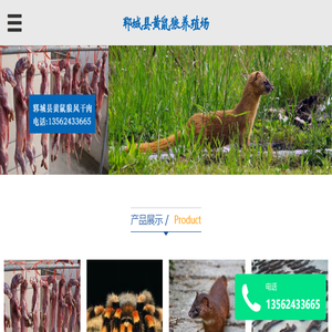 黄鼠狼养殖场