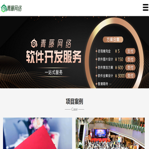 青藤网络