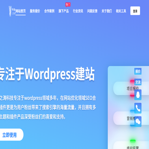 WordPress主题插件开发建站