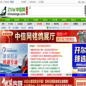 中信网