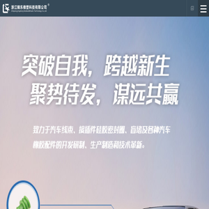 浙江精东橡塑科技有限公司